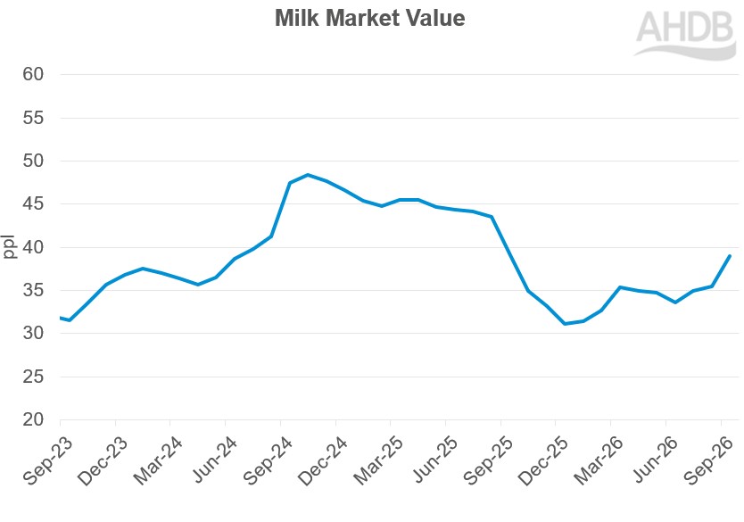 Line graph showing MMV increasing since the low point seen in December 2025.
